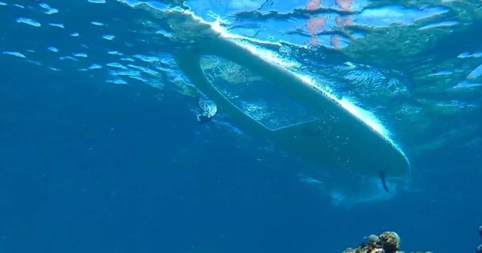 Underwater view of paddleboard hull above tropical reef