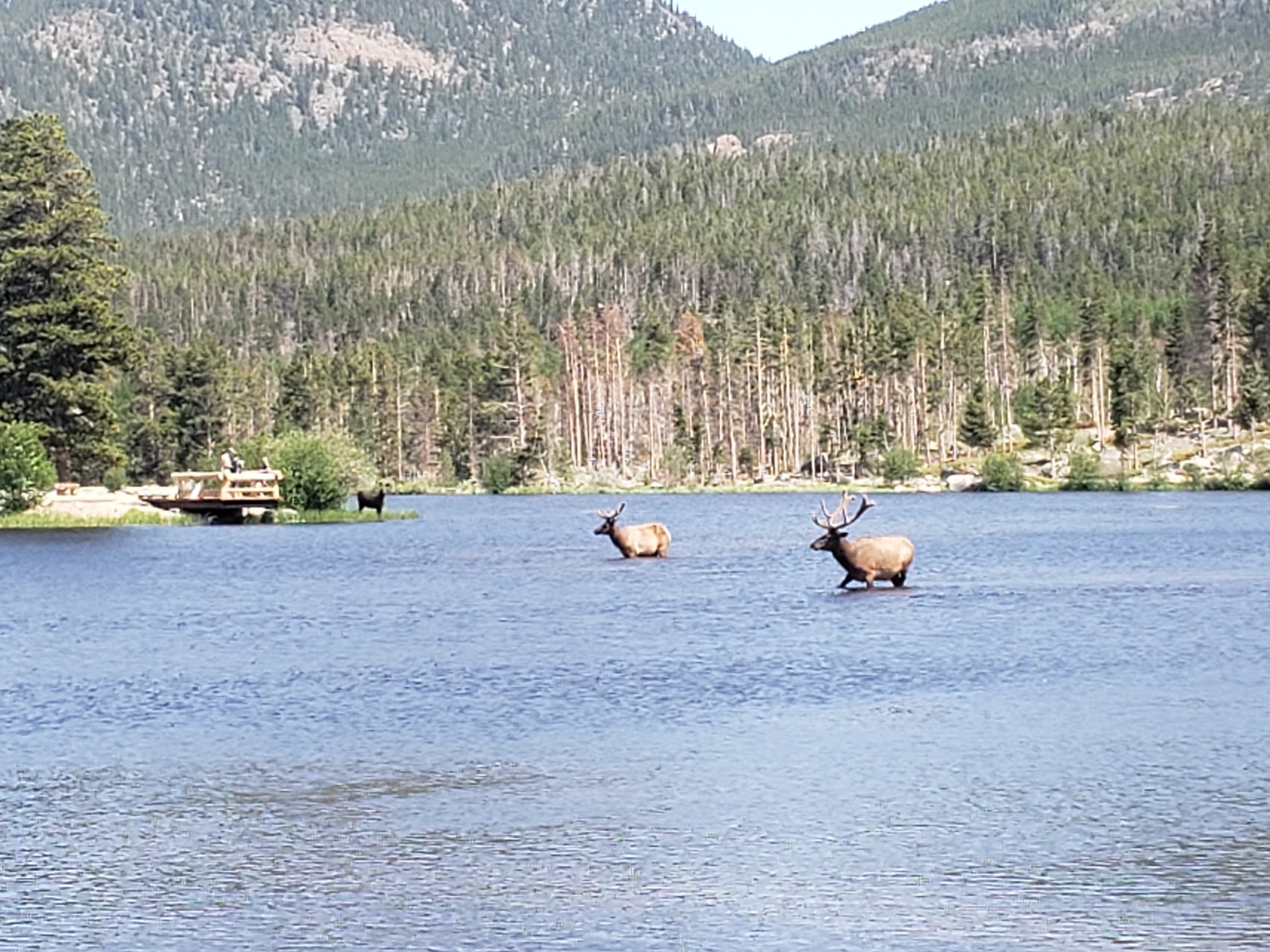 Hiking Light: Scenic Nature Walks in Estes Park, CO