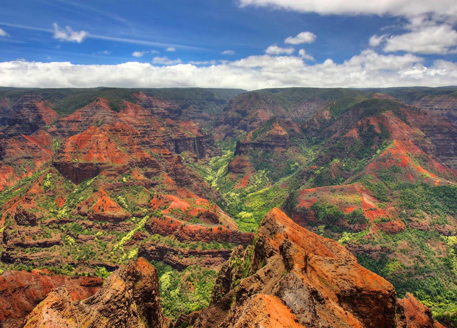 Kauai Highlights Private Tour: Waimea Canyon & More