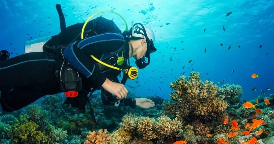 Scuba diver inspecting vibrant coral reef with colorful fish
