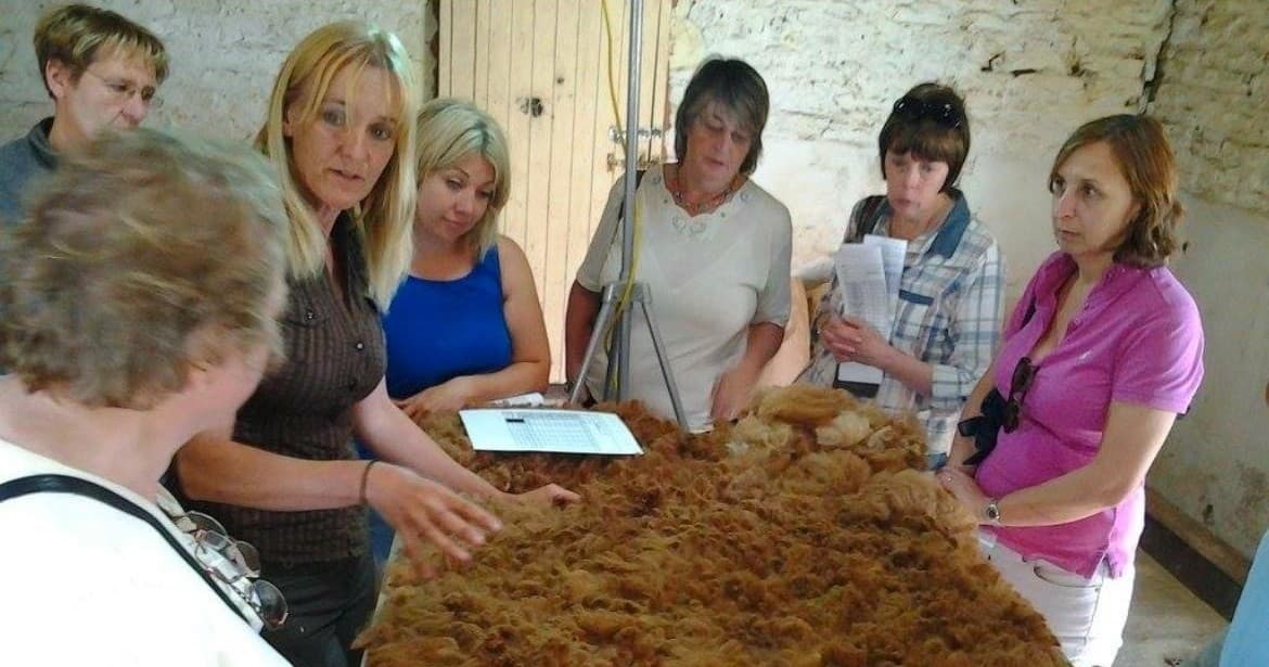 Group inspecting alpaca fleece indoors during rural farm workshop demo