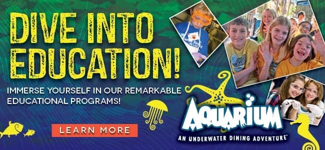 Interactive Educational Aquarium Field Trips in Kemah, TX