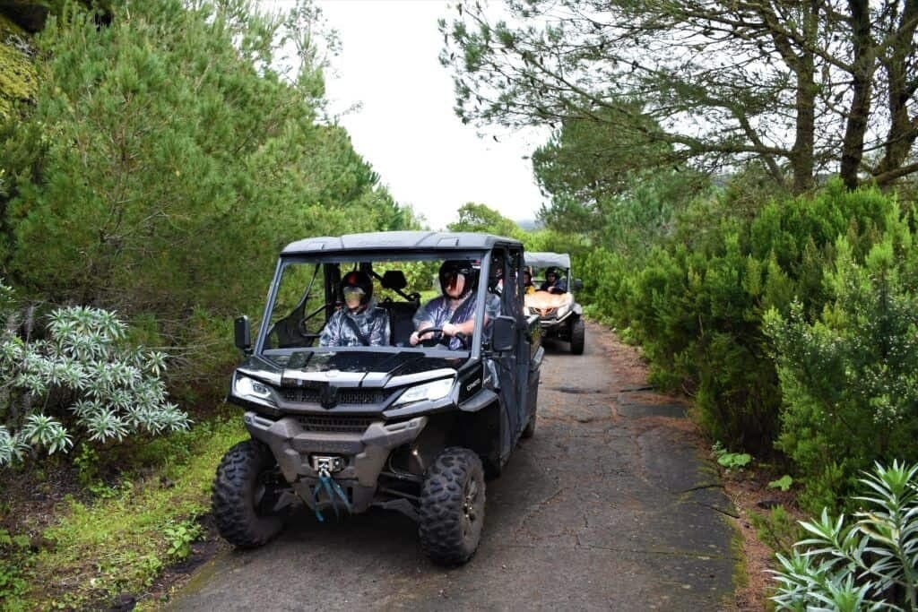 Volcano Buggy Tour in La Palma: Cumbre Vieja to Fuencaliente