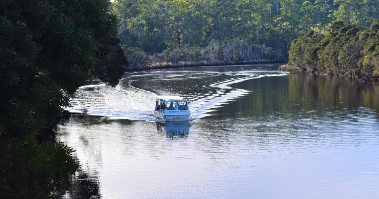 Scenic river cruise boat speeding on calm forested river
