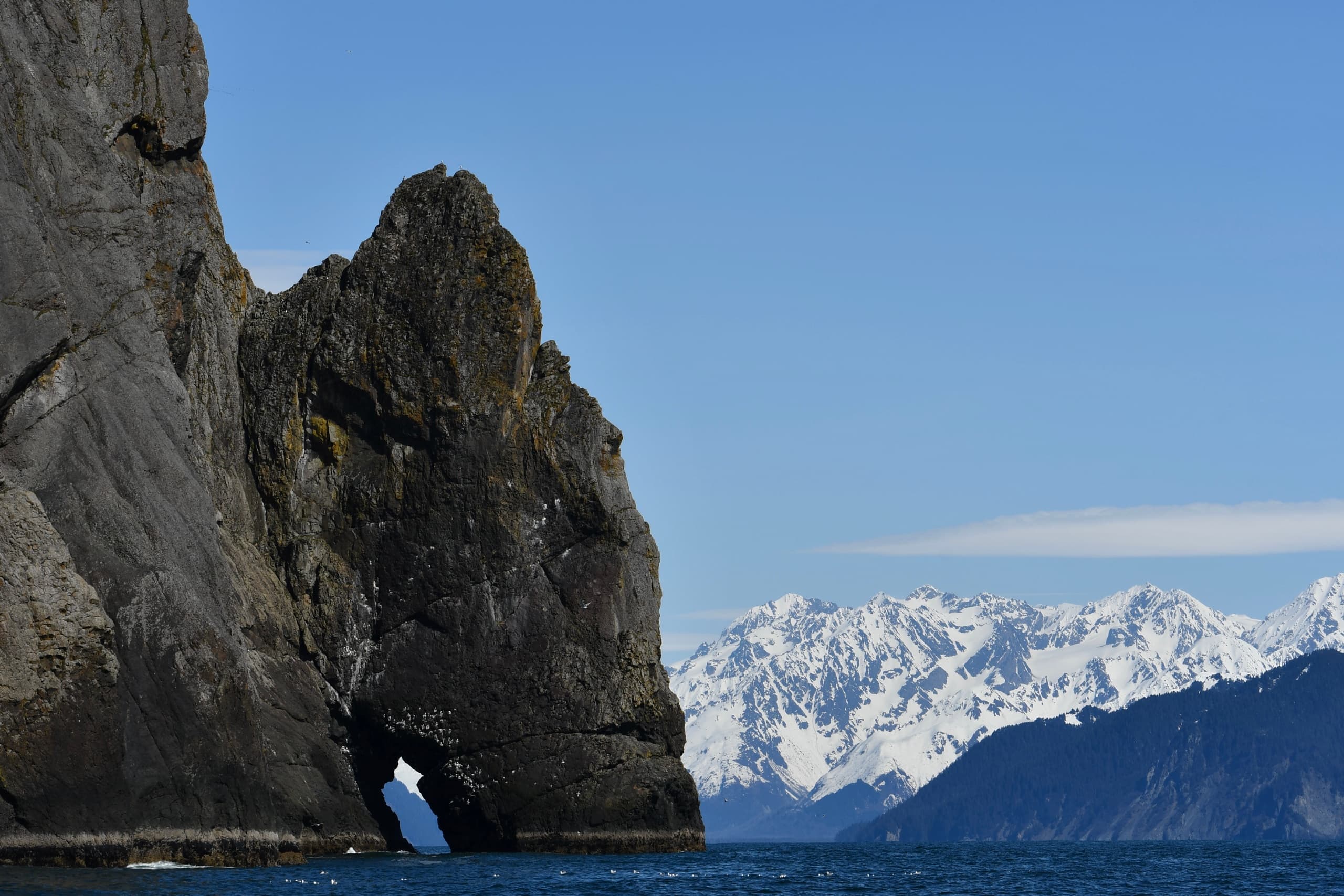 Two-Hour Resurrection Bay Cruise from Orca Island Cabins — Wildlife & Glacier Views