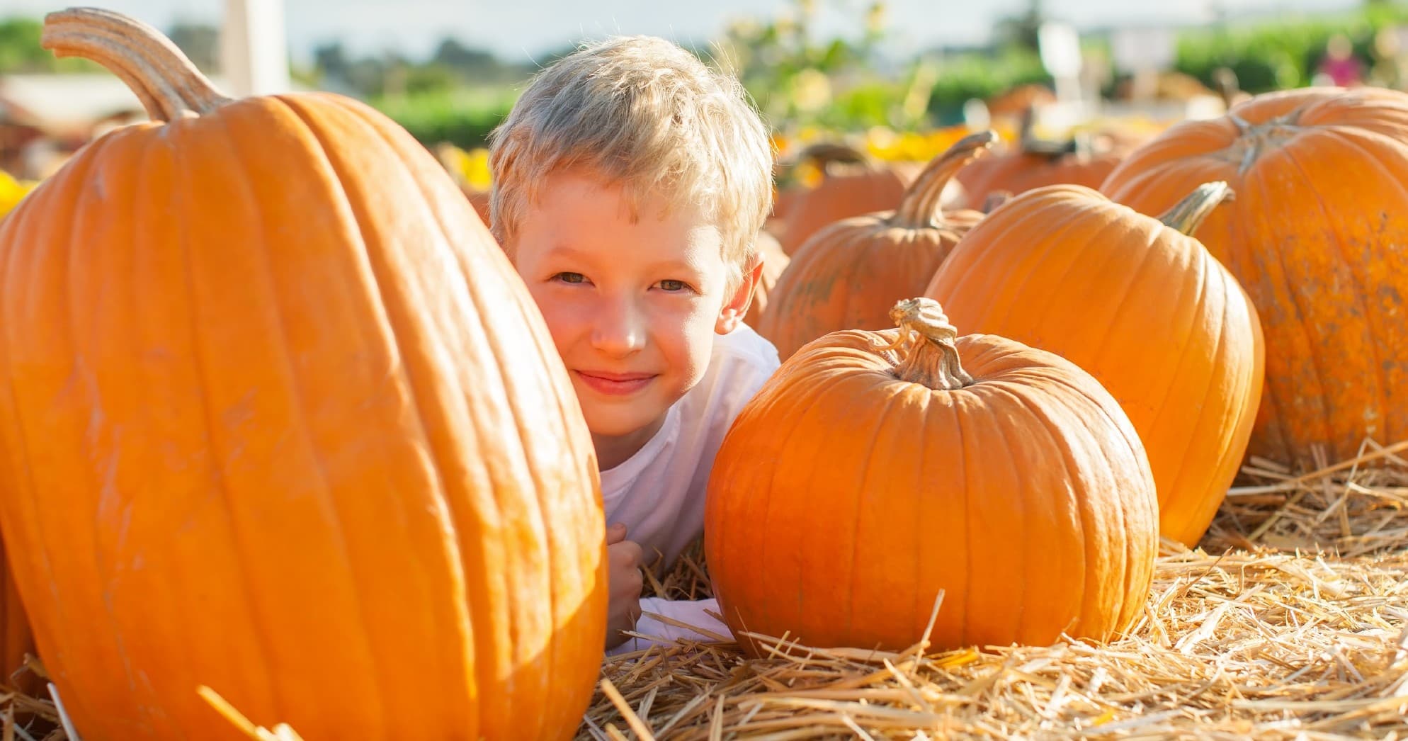 Family Train Adventure at Pumpkin Junction by Heart of Dixie Railroad Museum