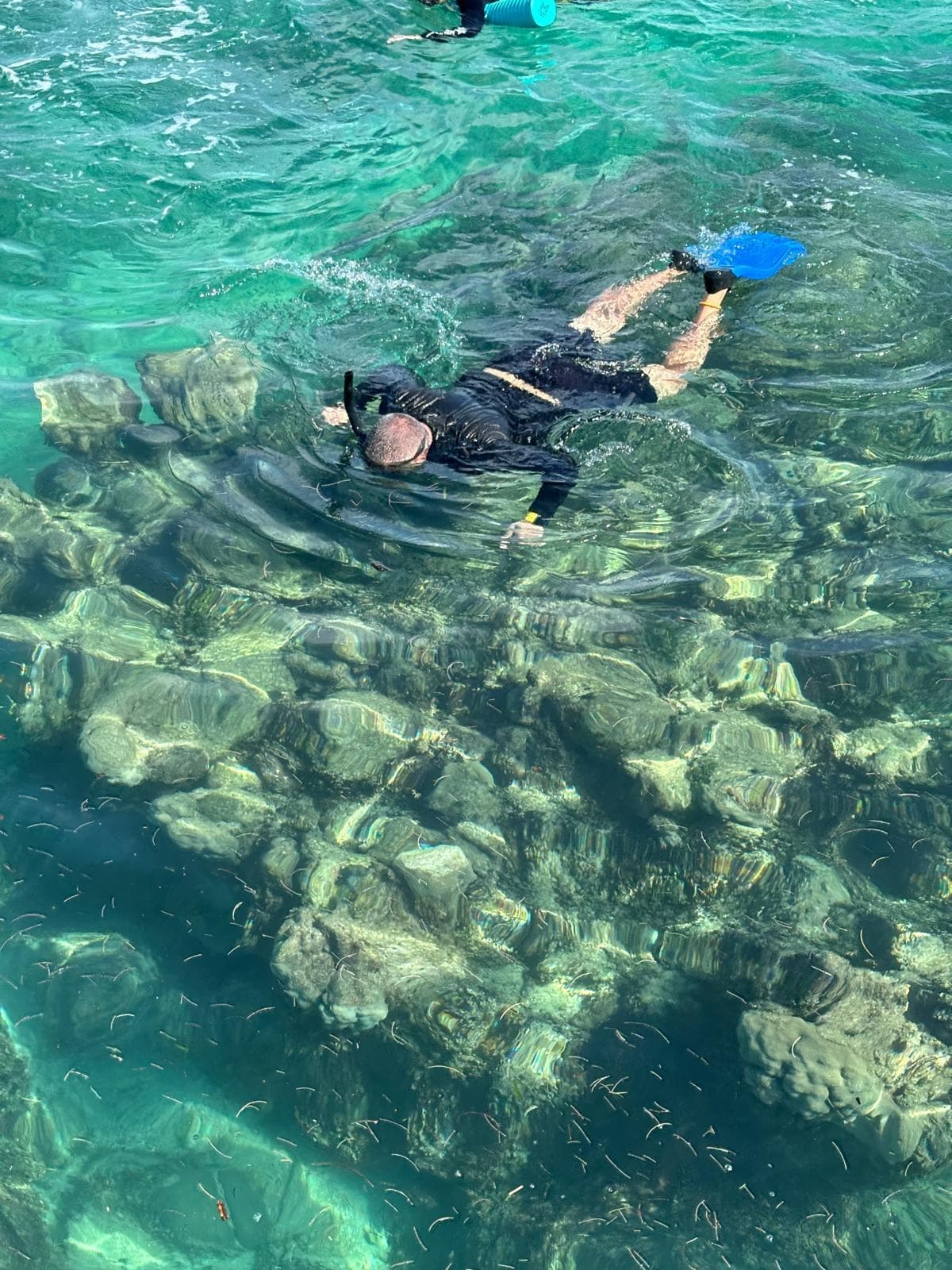 Water Activities & Snorkeling Tour at Isla Cardona