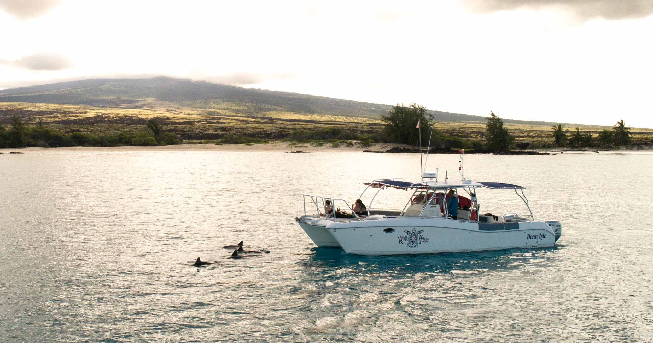 Private Charter Snorkeling & Diving with Kona Honu Divers