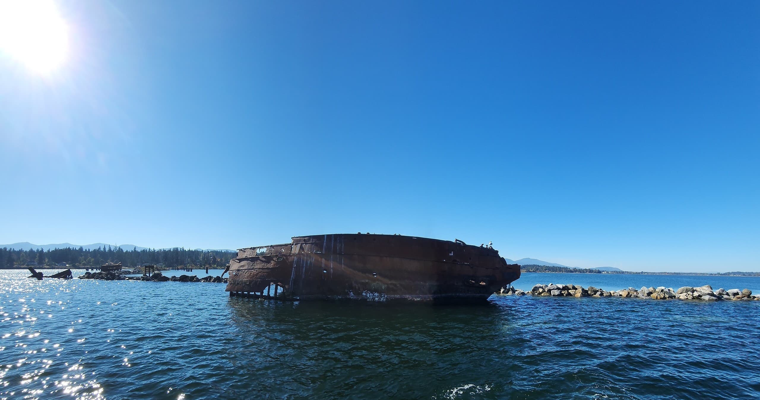 Water Activities: Comox Valley Ocean Charter Experience