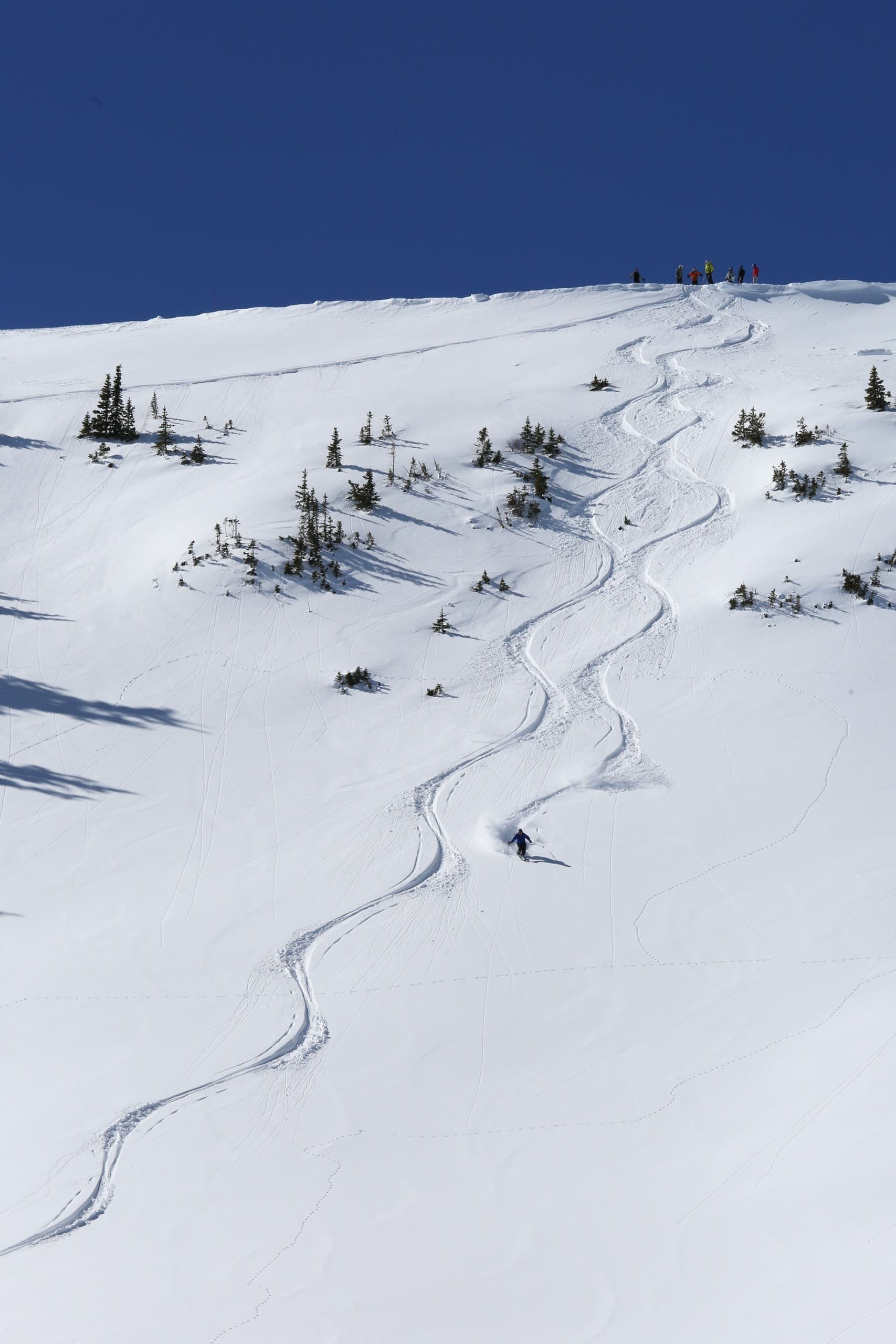 Private Cat Skiing in the Uinta Mountains: Private Snowcat Days from Park City photo 3