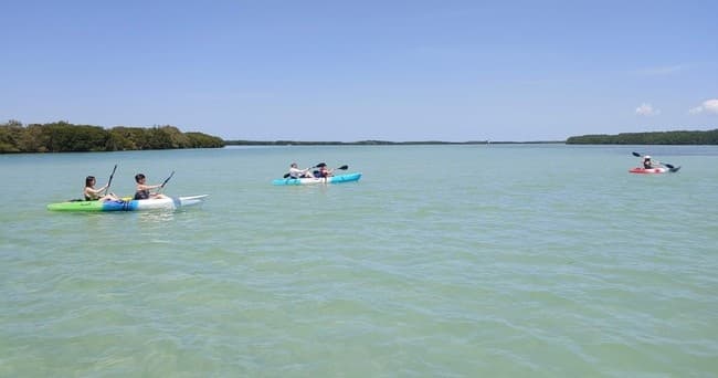 Kayak Rentals at Liberty Outdoors in St. Petersburg