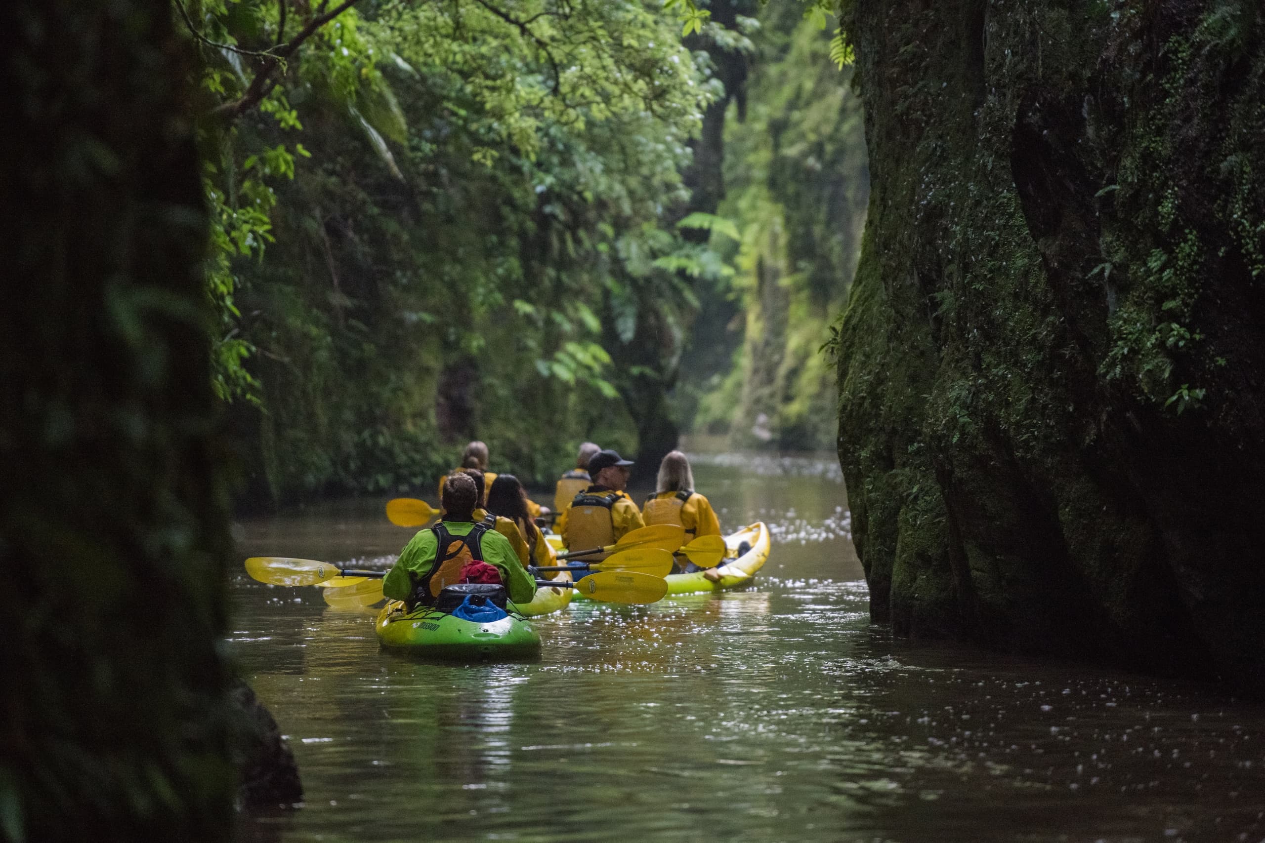 Water & Land Adventure with Riverside Adventures Waikato