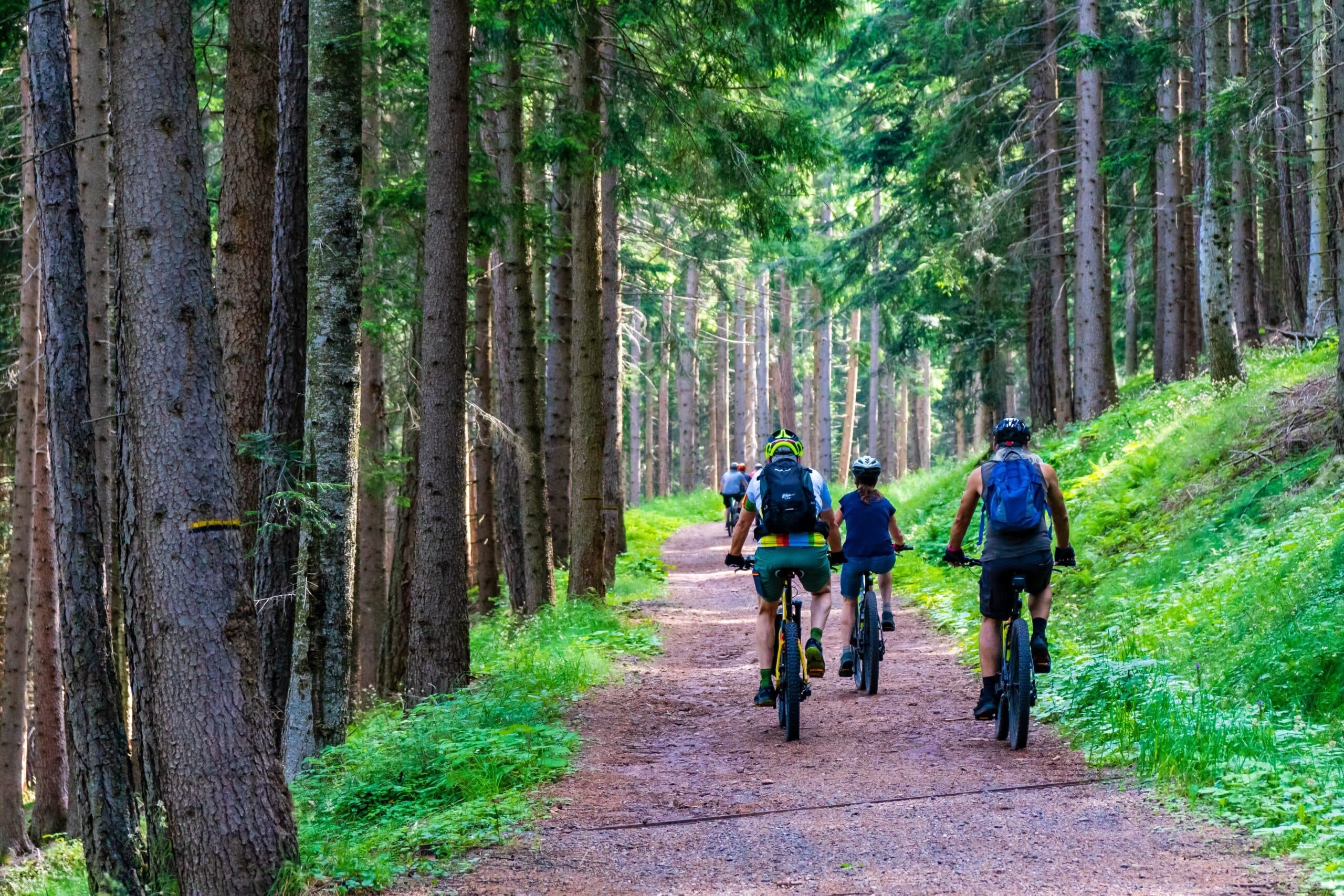 E-MTB Adventures in Val d’Aveto with seifuori