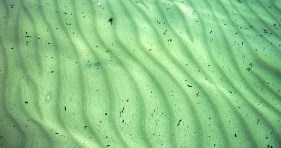 Explore Oceanography at Denver's Downtown Aquarium