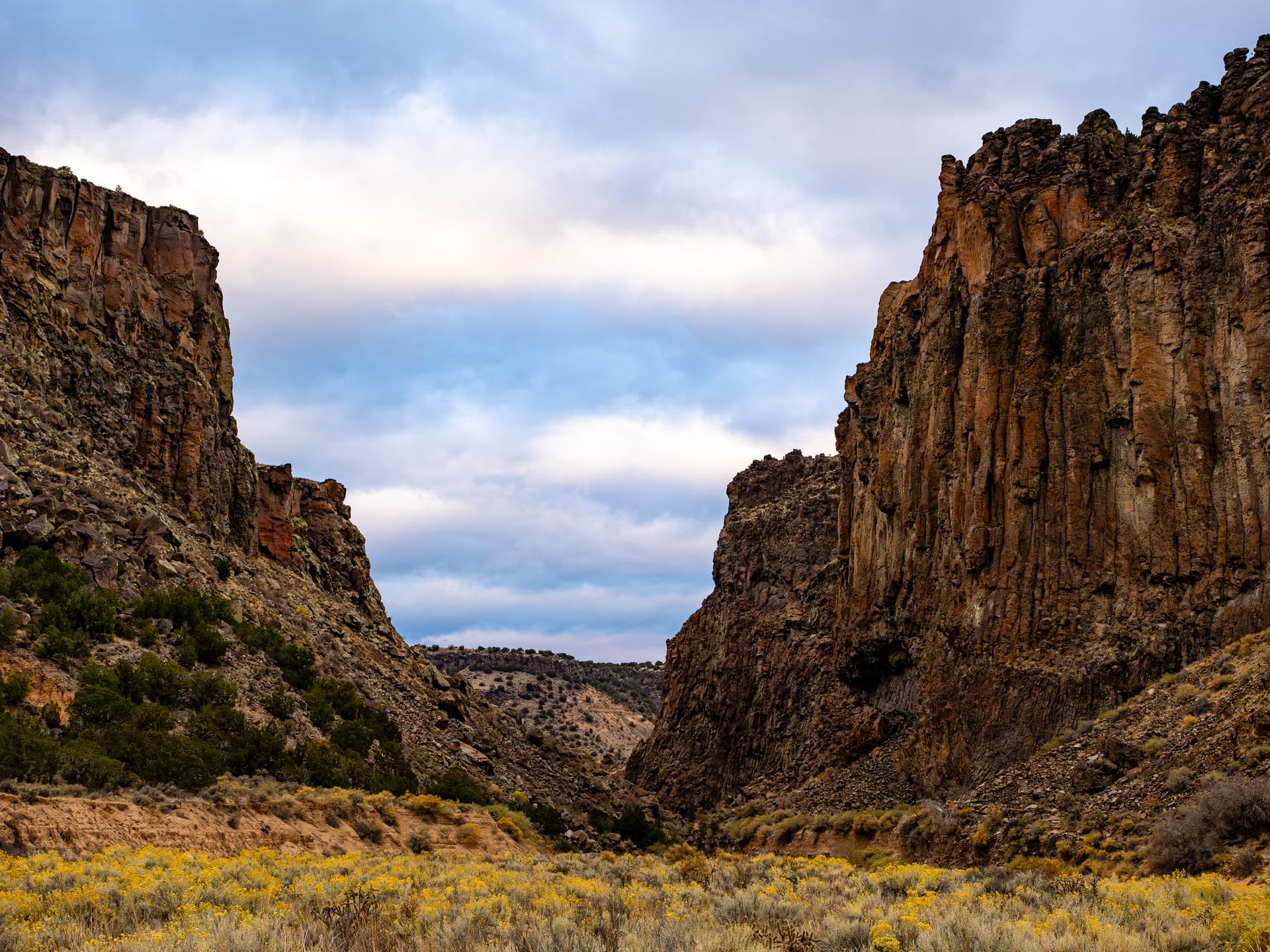 Explore Santa Fe Canyon's Riparian Oasis Hike photo 3