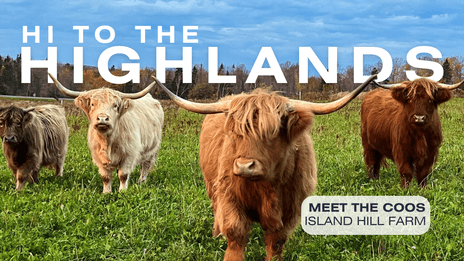 Hi to the Highlands - Member
