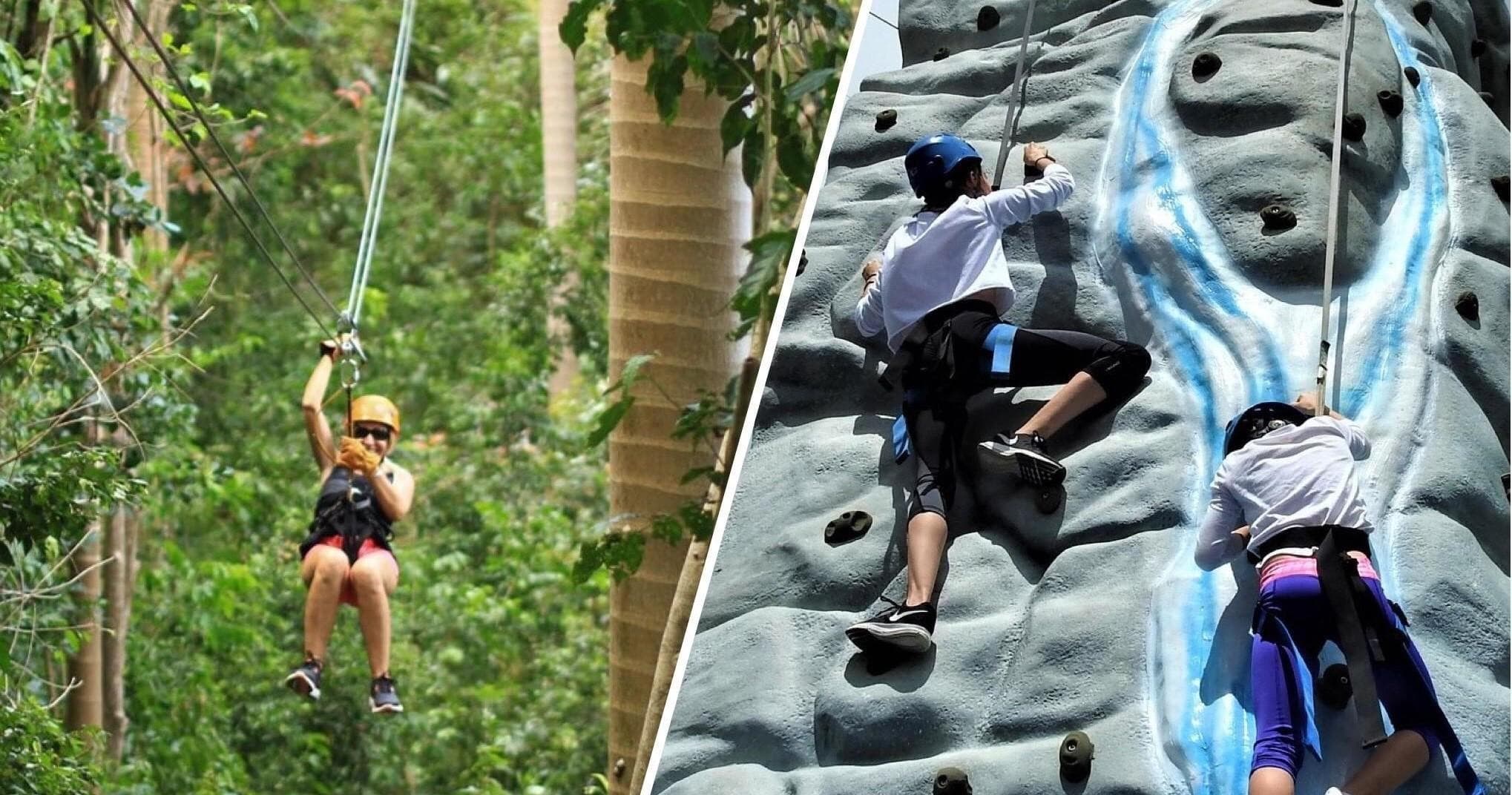 Rainforest Zipline & Rock Climbing Adventure in Río Grande
