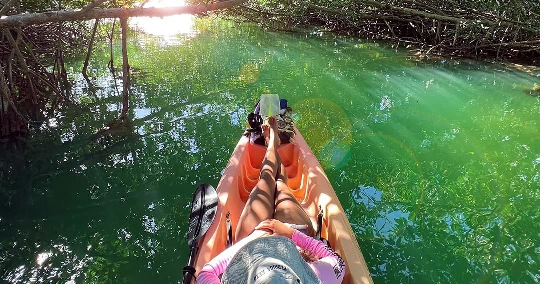Kayaking through green mangrove channel, immersive paddling adventure