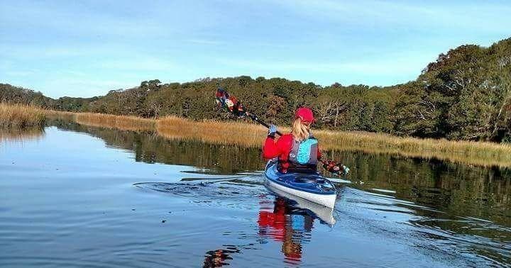Kayak Adventures at Cape Cod's Pocasset River