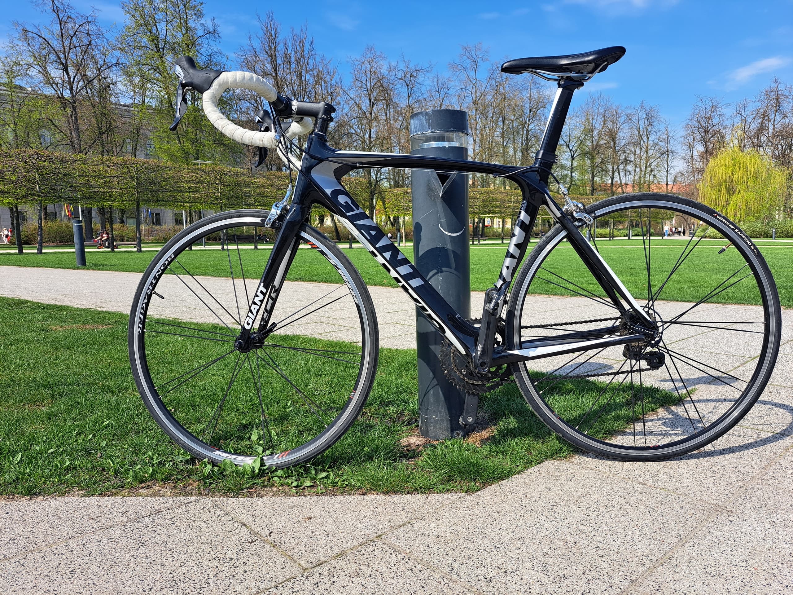 Black road bike locked to pole by avenue, scenic city cycling