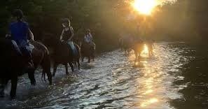 Coastal Semi-Private Horseback Lessons in Palos Verdes Estates