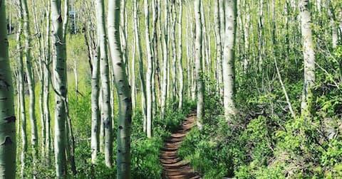Hiking with Mountain Vista Touring in Park City