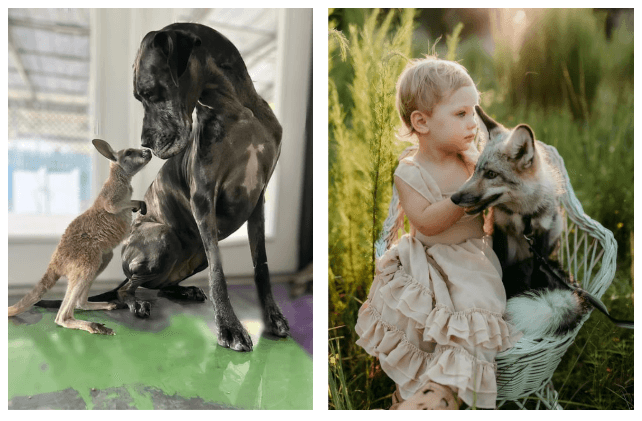Zookeeper VIP Package: Private Hands-On Animal Encounters in Riverview, Florida photo 1