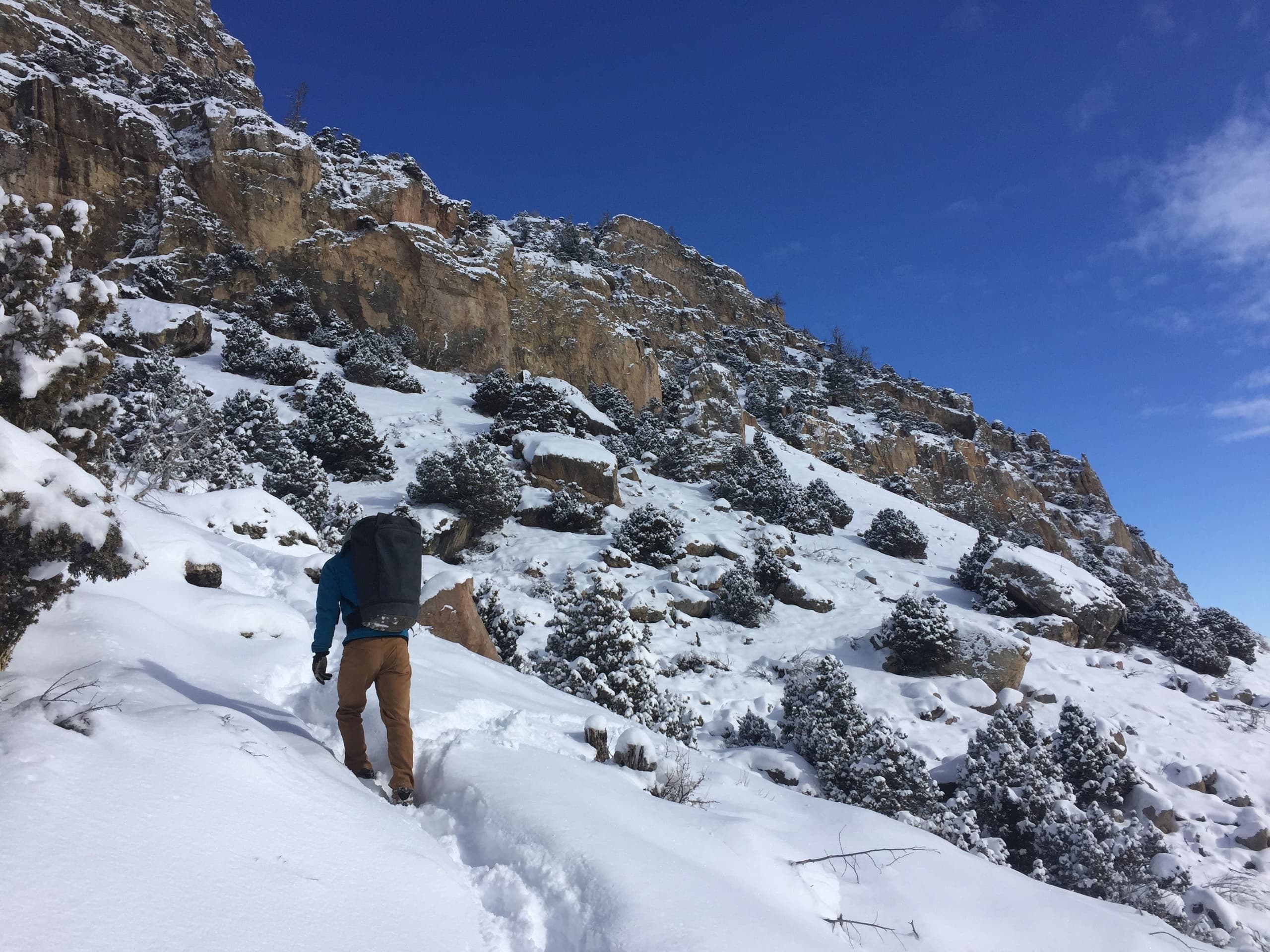 Wild Iris Mountain Sports team