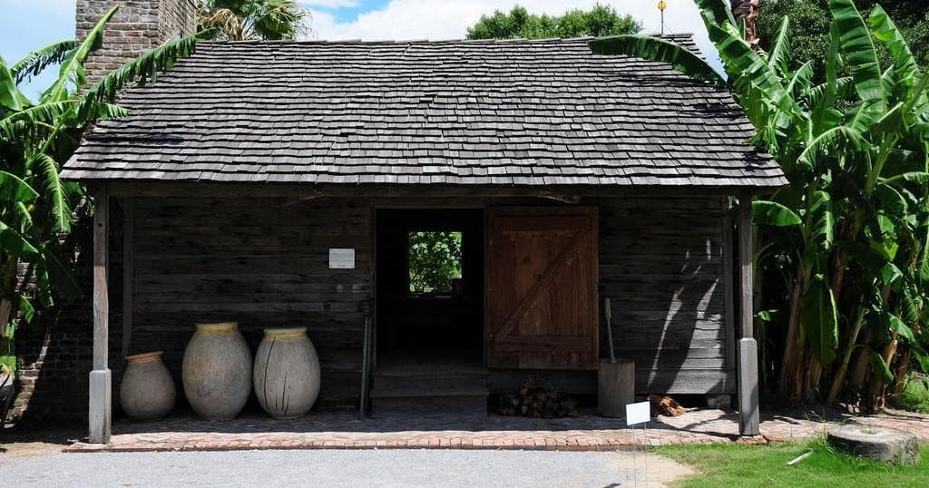 Wildlife & History Adventure at Whitney Plantation & Swamp Tour