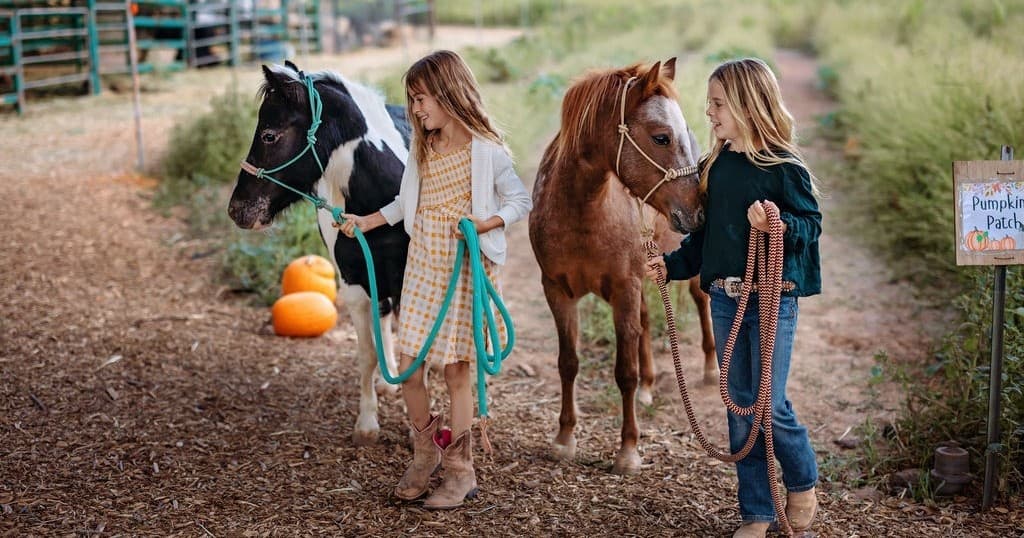 Private Outdoor Events at The Farm in Hurricane, Utah