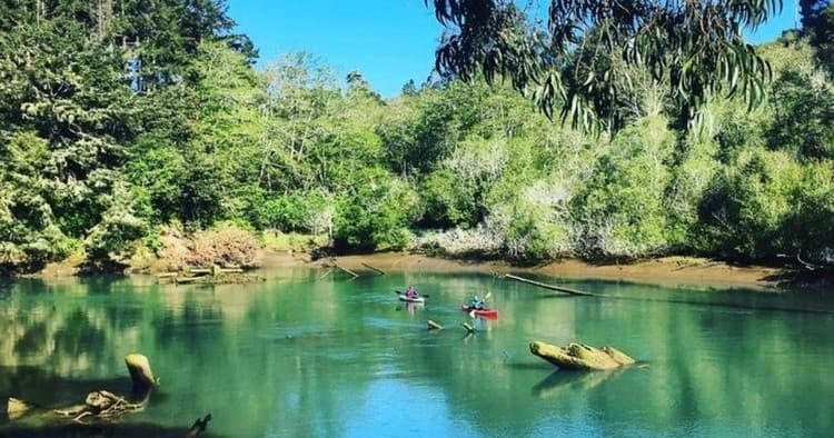 Noyo River Nature Tour | Kayak in Fort Bragg, California