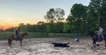 Ranch Roping Lessons at Firl Outfitters: Texas Cowboy Skills