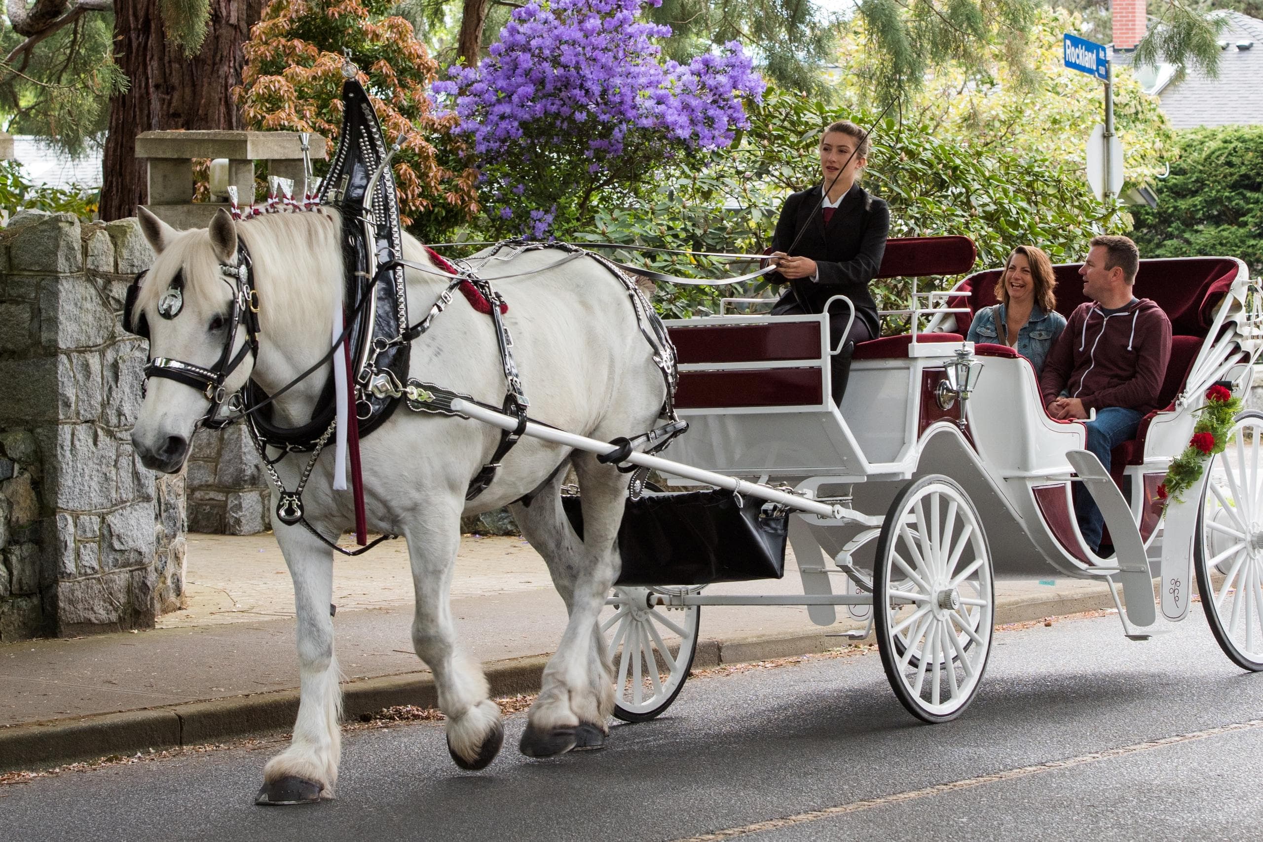 Heritage Horse-Drawn Tours with Tally-Ho in Victoria