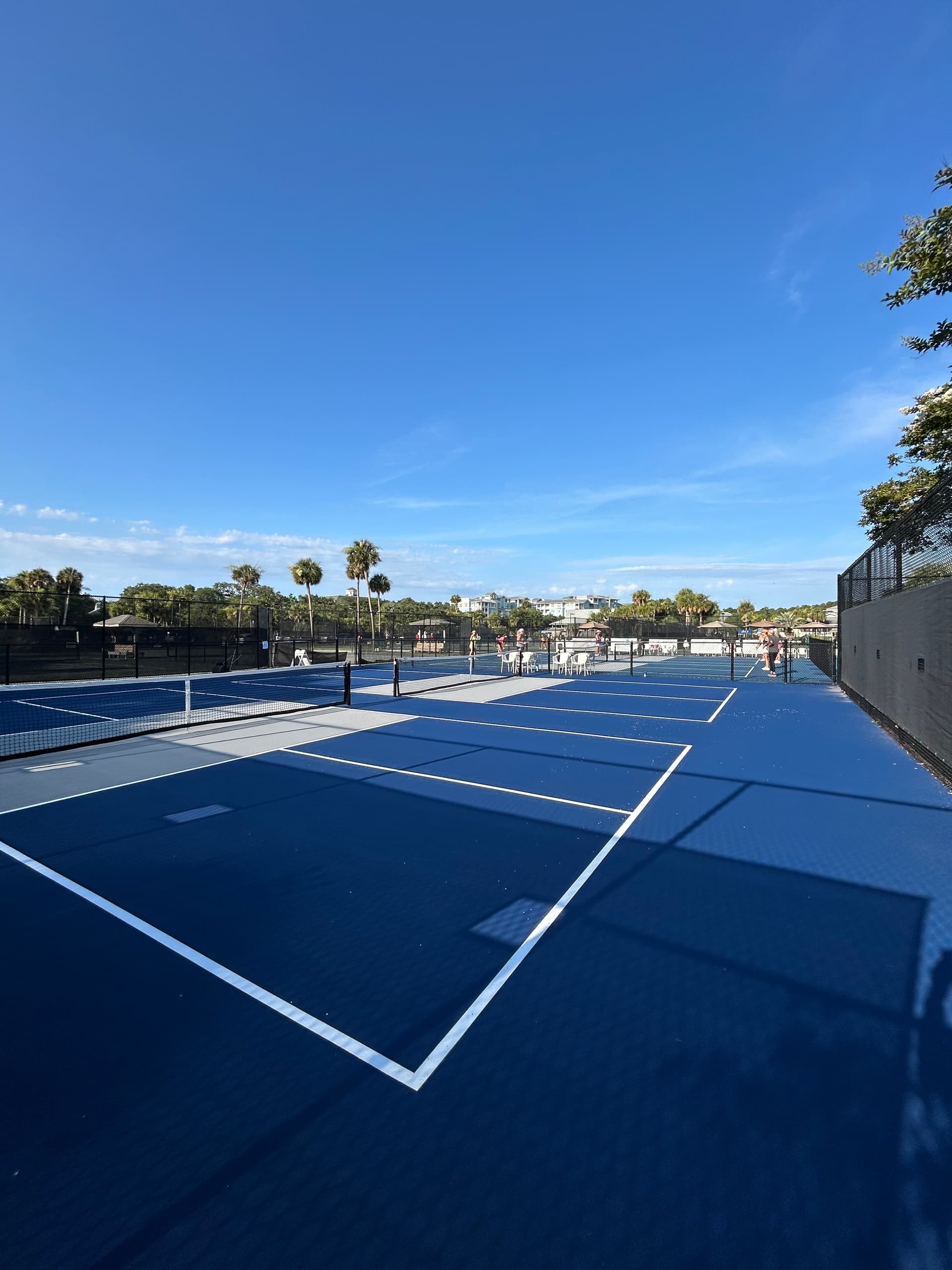 Elevate Your Game with Michele Jesse’s Exclusive Pickleball Experience at Wild Dunes