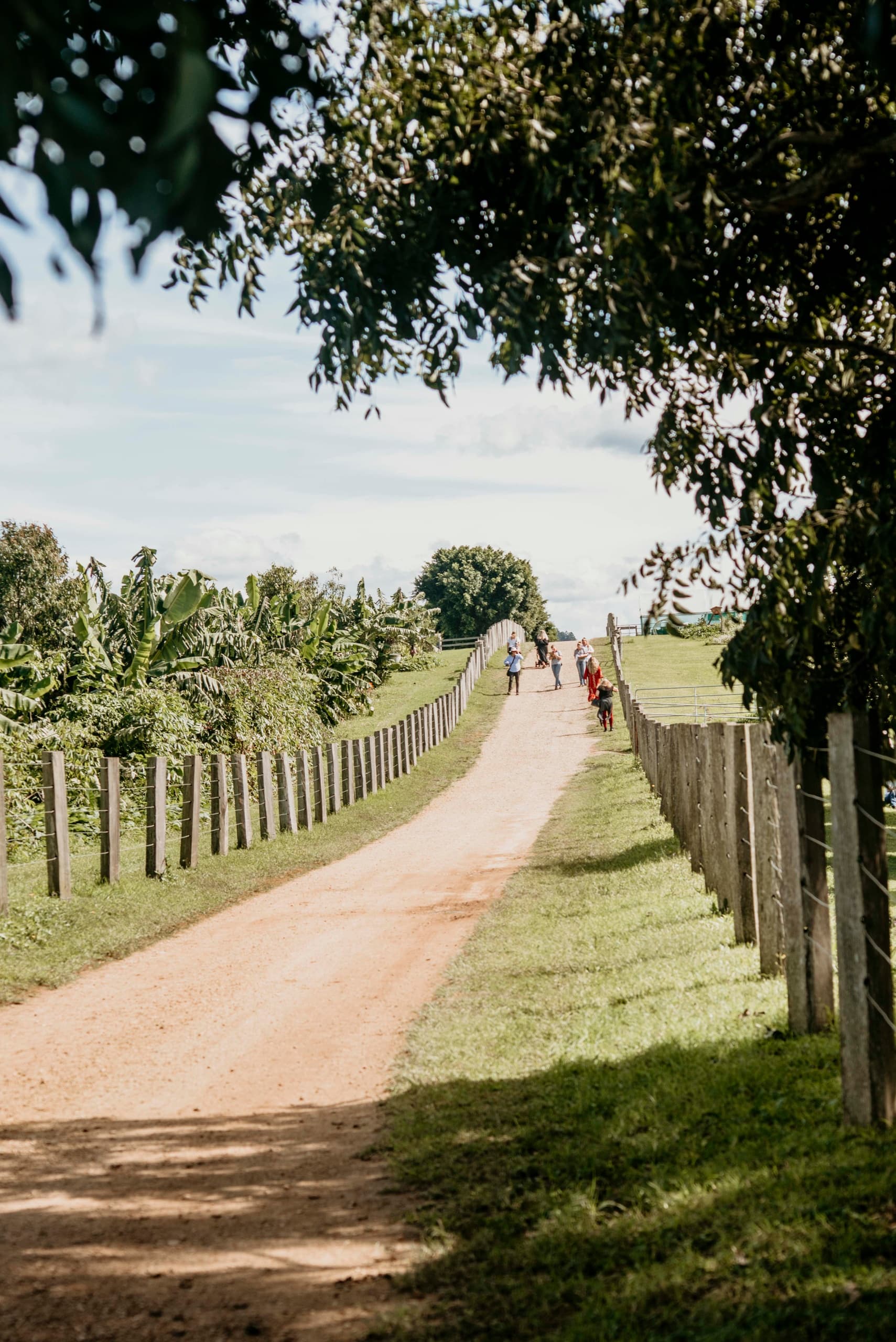 Hands-On Farm Adventure at The Farm Byron Bay: Private Paddock Experience for All Ages