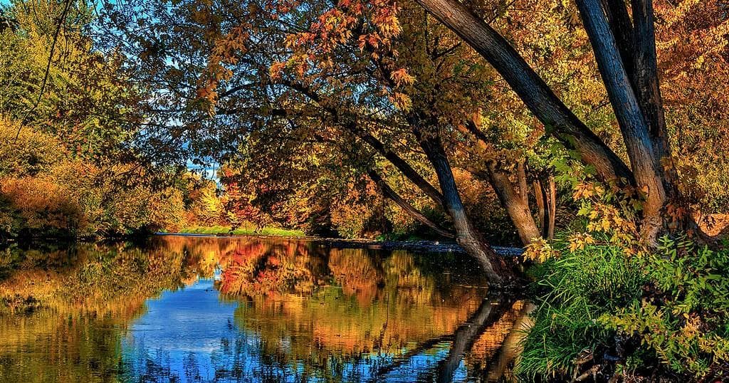 Fall Colors SUP Tours on the Rio Grande in Albuquerque