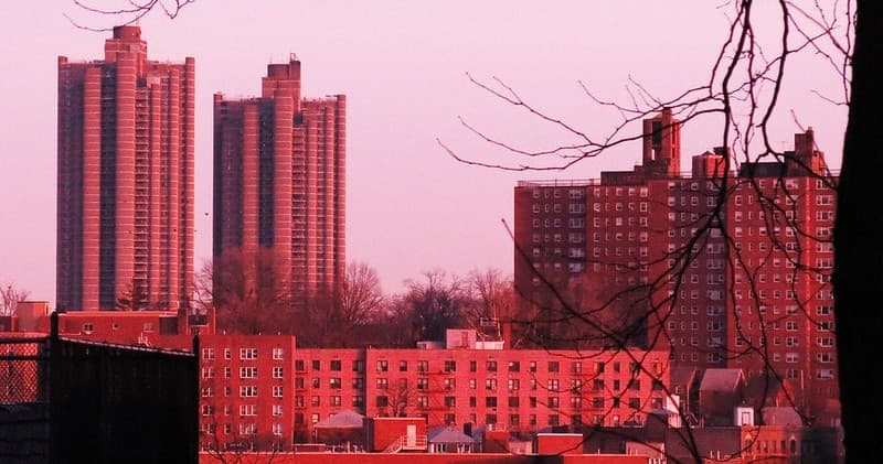 Urban Walking Tours & Culture in The Bronx NYC