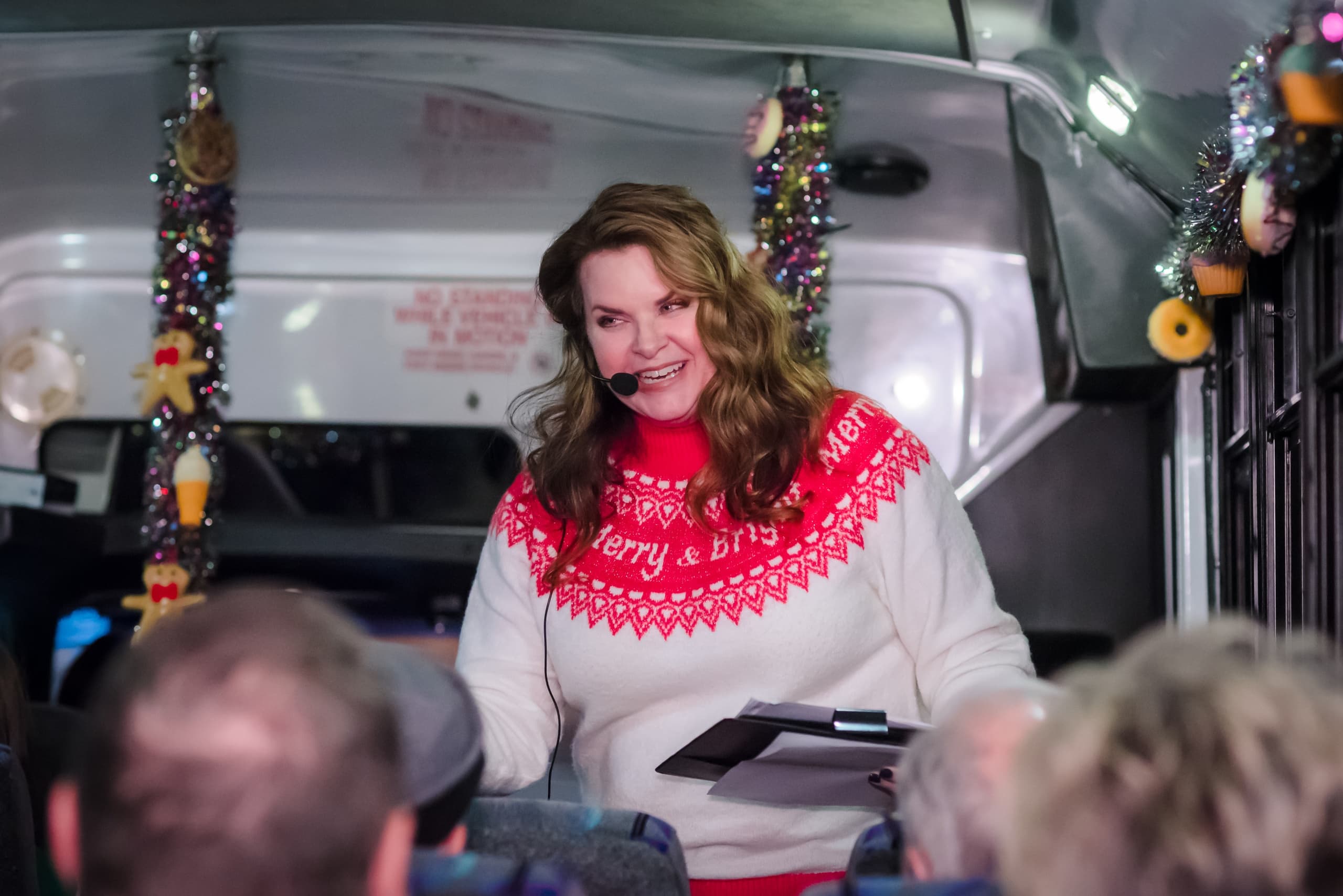 Festive Christmas Lights & Dessert Tour in Milwaukee