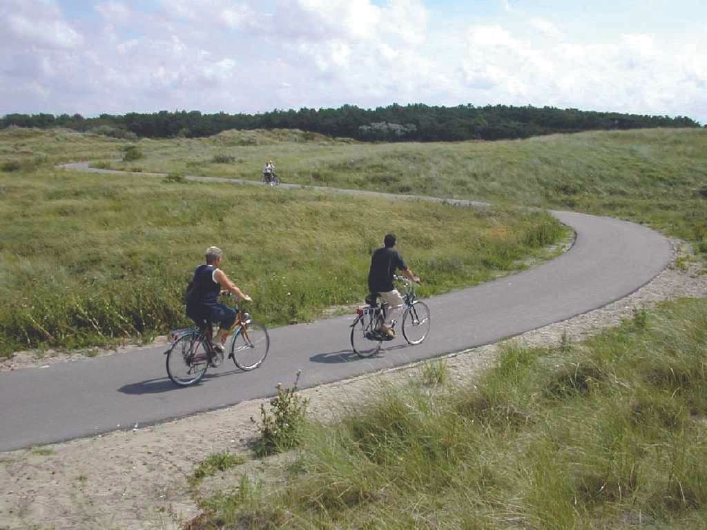 Bike Rentals in Bloemendaal - Discover 24-Hour Adventure