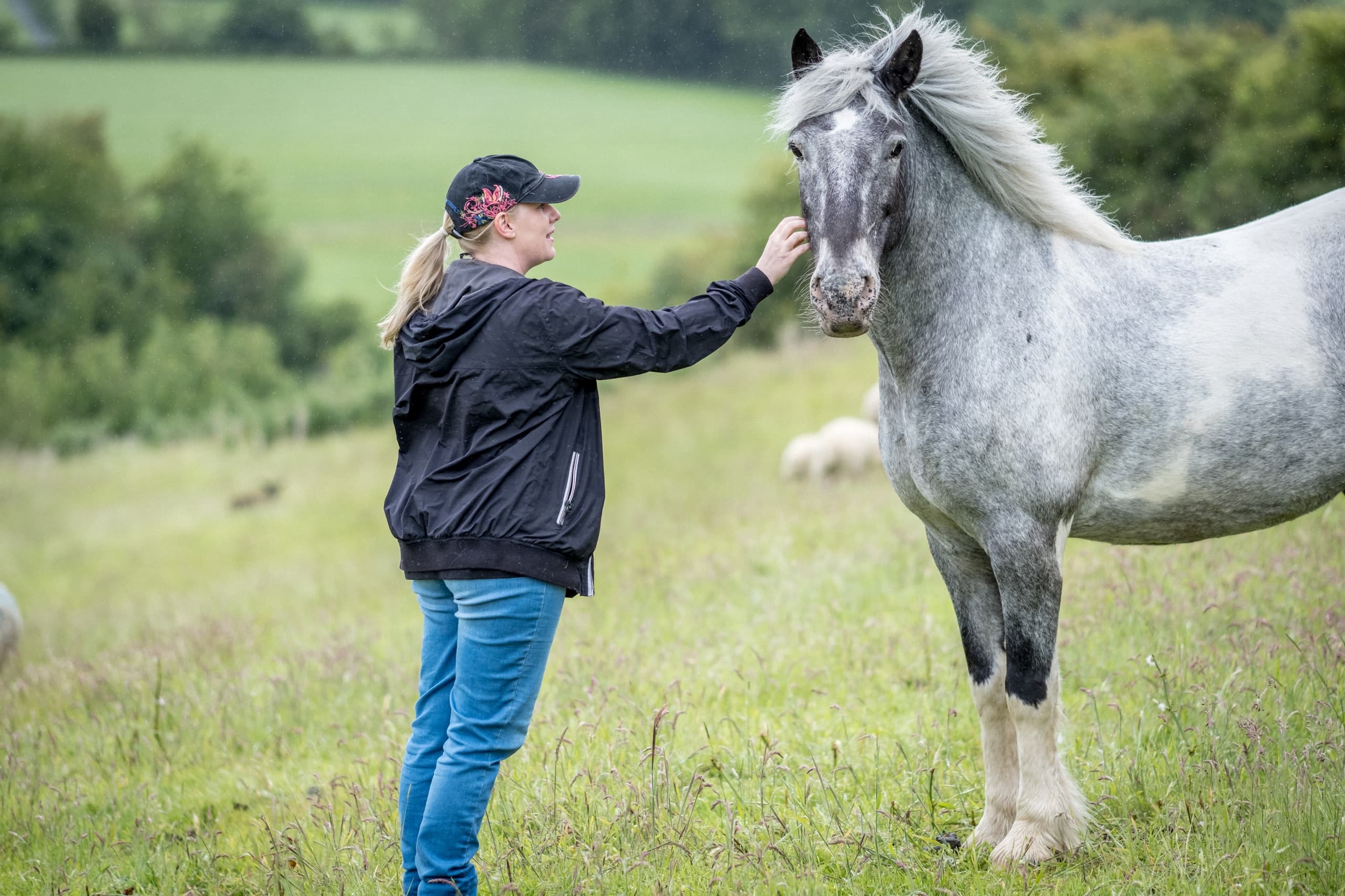 Woman interacting with grey horse in open grassy farm field, petting