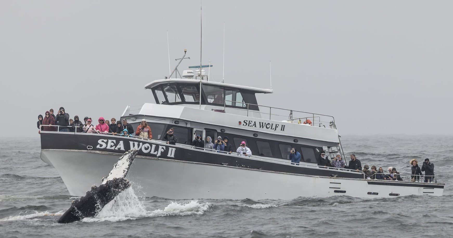 Private Charter Adventure in Monterey Bay, California
