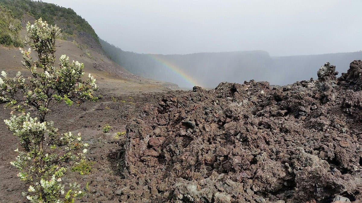 VIP Hawaiʻi Volcanoes National Park Tour: Private Big Island Volcano Experience photo 4