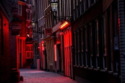 Night Tour & Cultural Insights with New Horizon Tours in Amsterdam