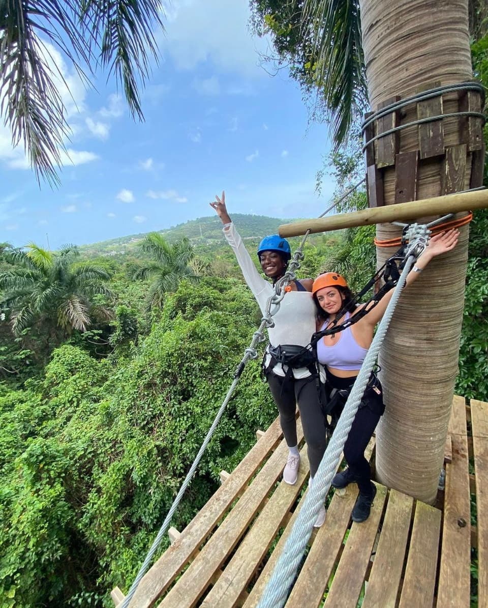 Rainforest Zipline Park fleet