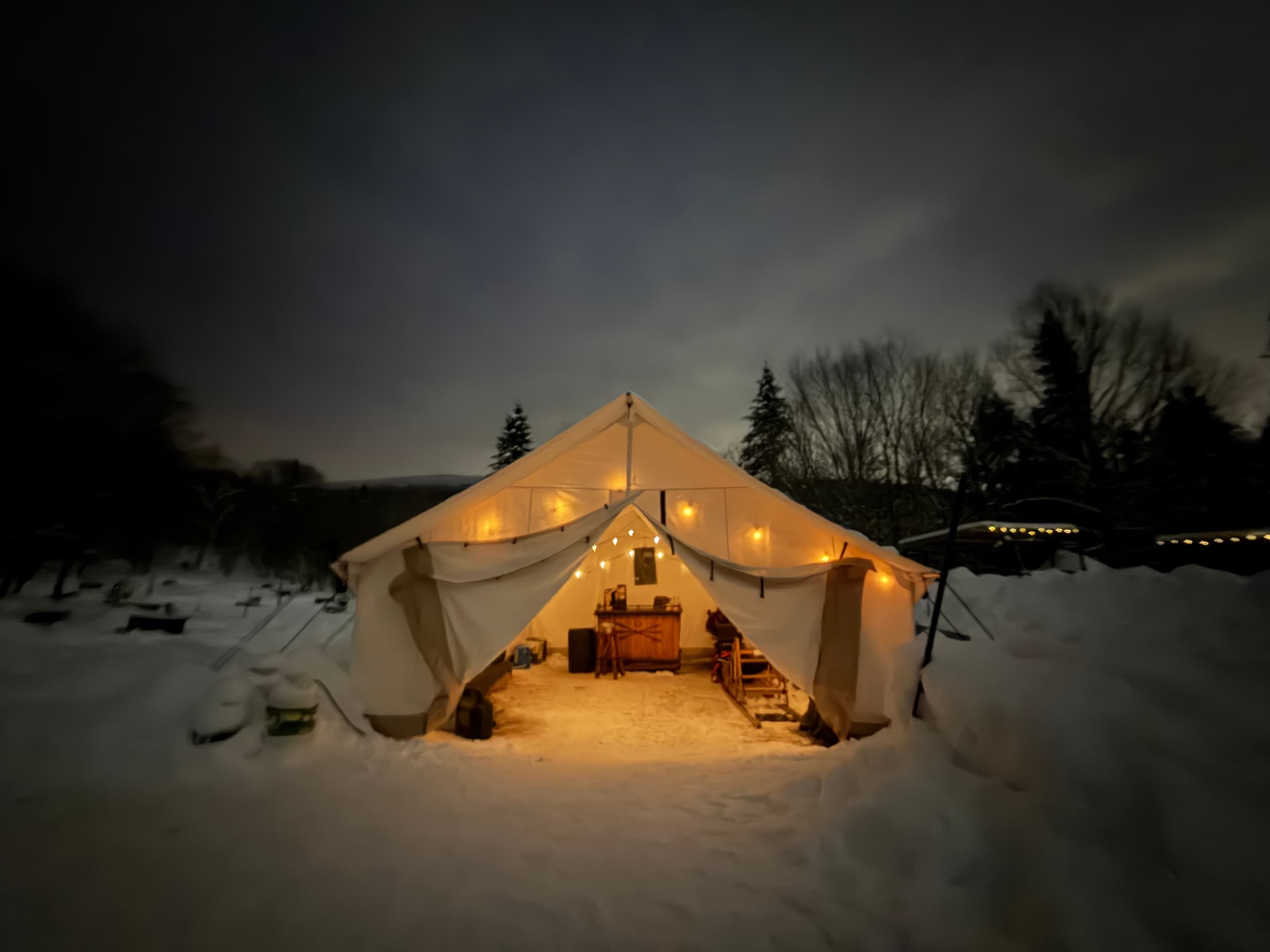 Night Dog Sledding Near Québec: Huskies, Headlamps & Stars