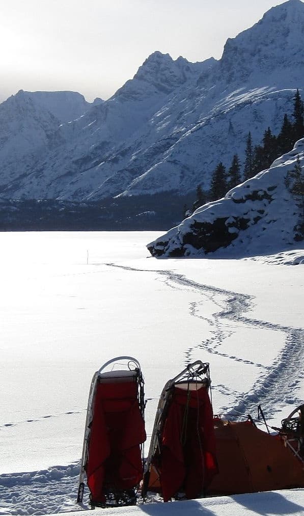 Winter Sports & Wilderness at Boreal Kennels: Yukon Dog Sledding Experience