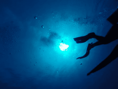 Snorkel & Scuba Adventure in Fuencaliente with Punkfish Diving