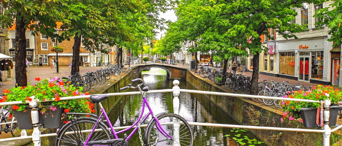 Land Adventures: Delft City Walking Tour with Cicerones
