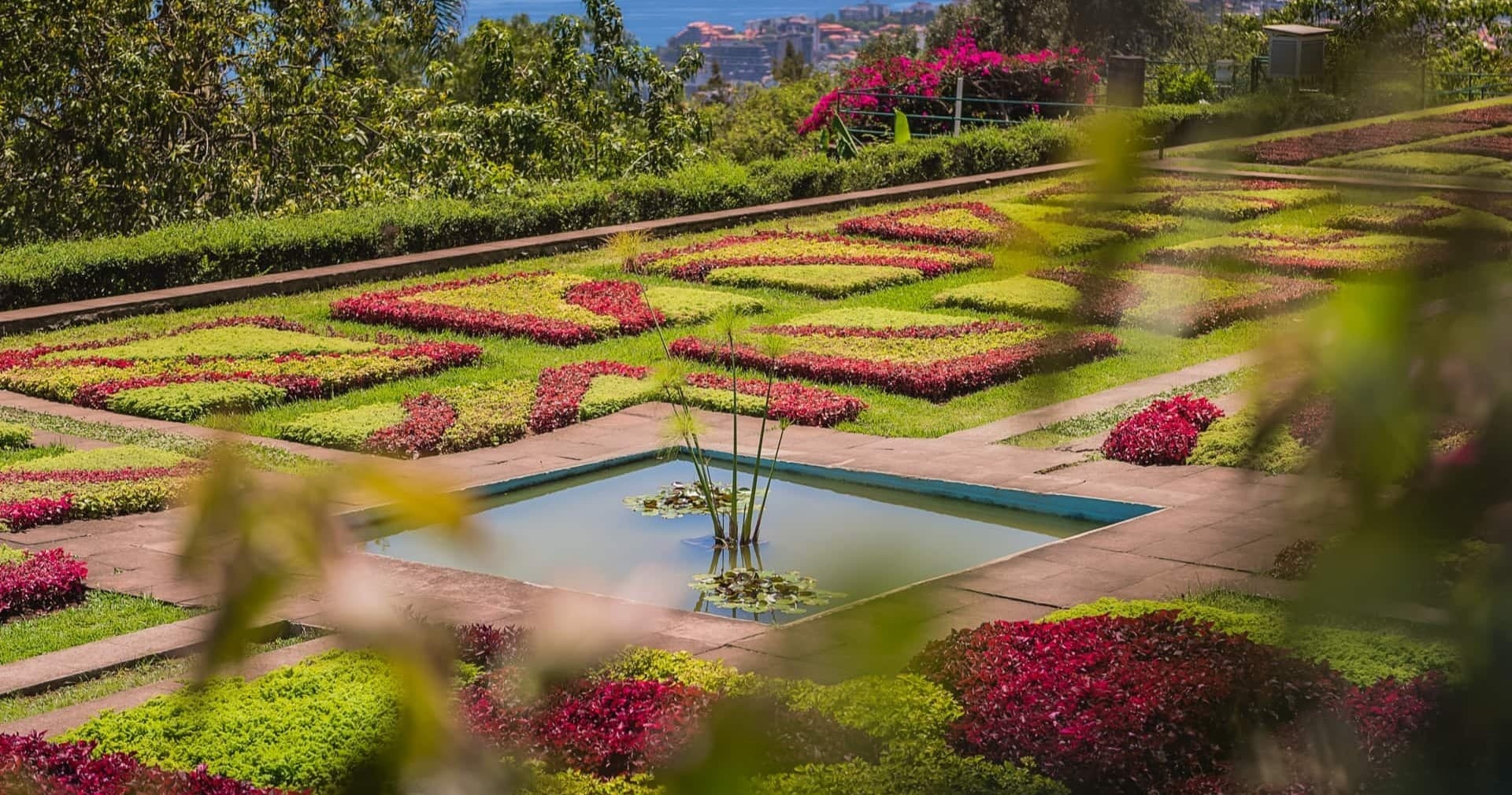 Funchal Old Town & Botanical Garden by Tuk-Tuk | Madeira Happy Tours