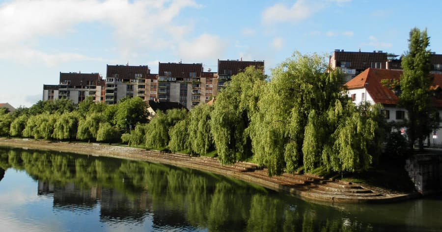 Scenic city riverbank with willow trees reflecting, ideal for riverside strolls